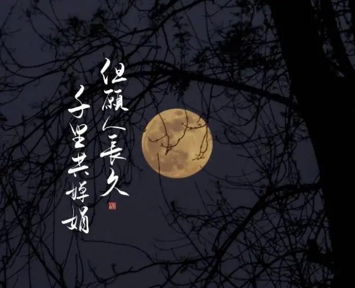 但愿人长久千里共婵娟仅指爱情吗,但愿人长久千里共婵娟是思念吗