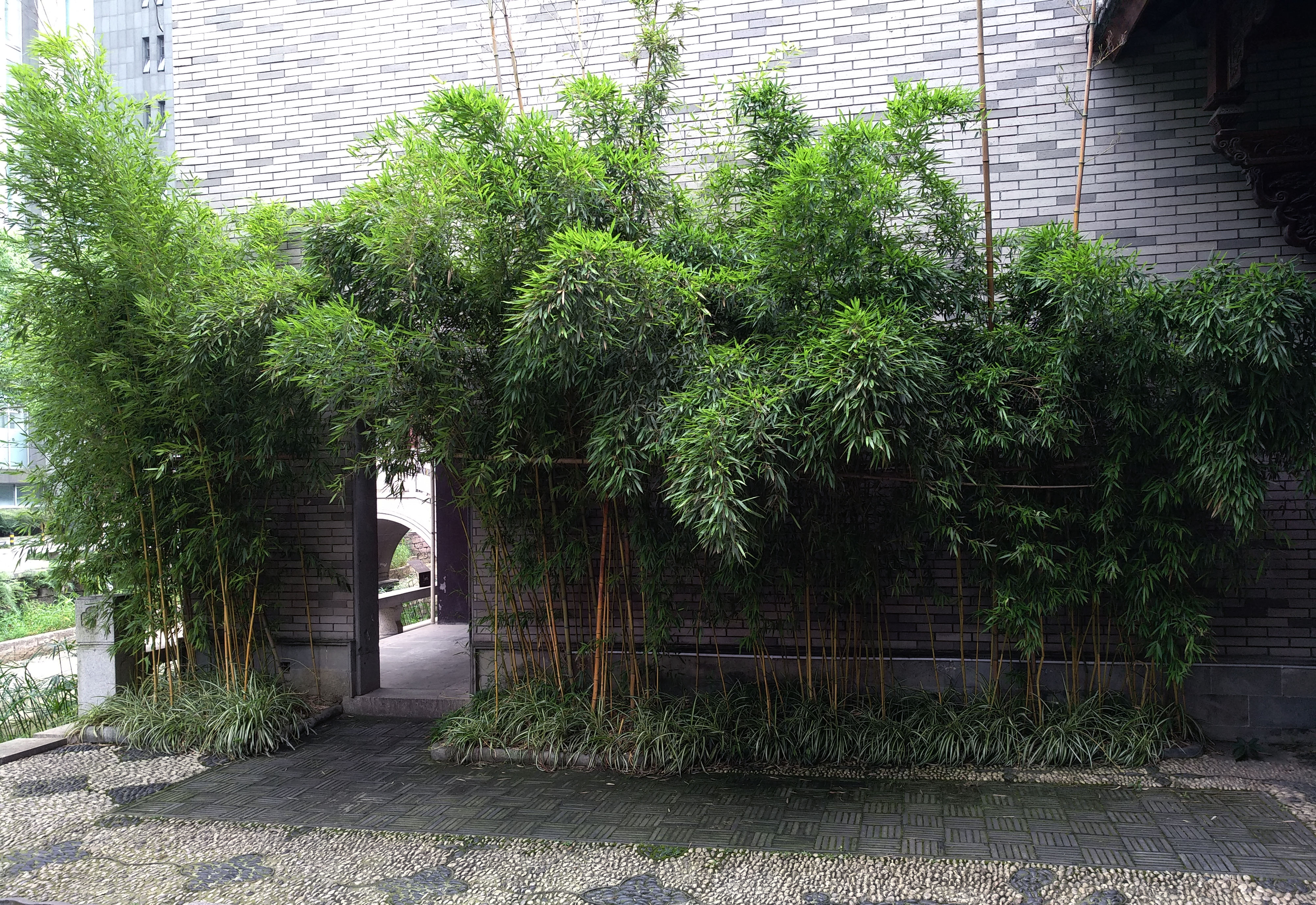 成都龙潭水乡最新消息,成都龙潭水乡别墅区