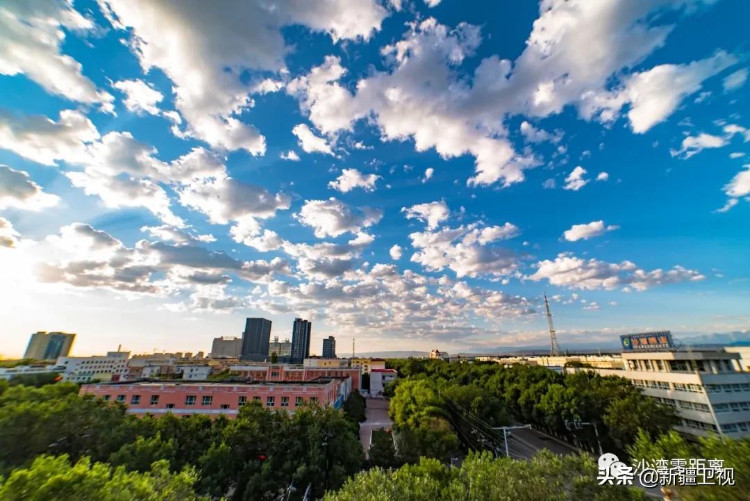 快上车视频全集,快上车完整版视频