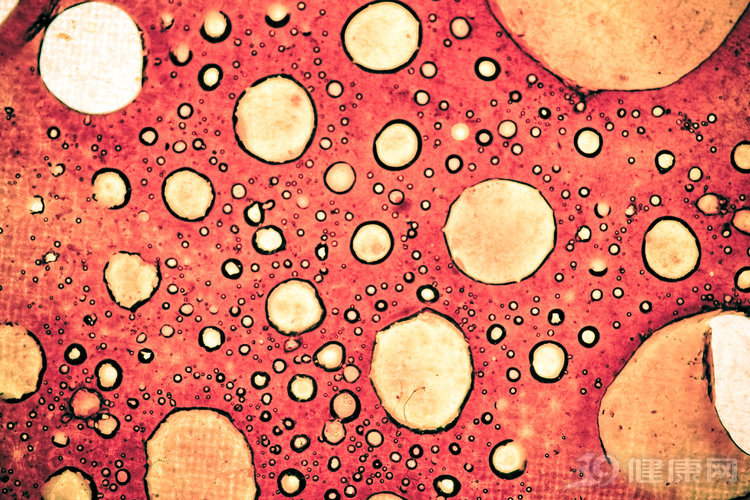 人如果不小心吃了生鸡肉会怎么办,吃一口癌细胞会怎样