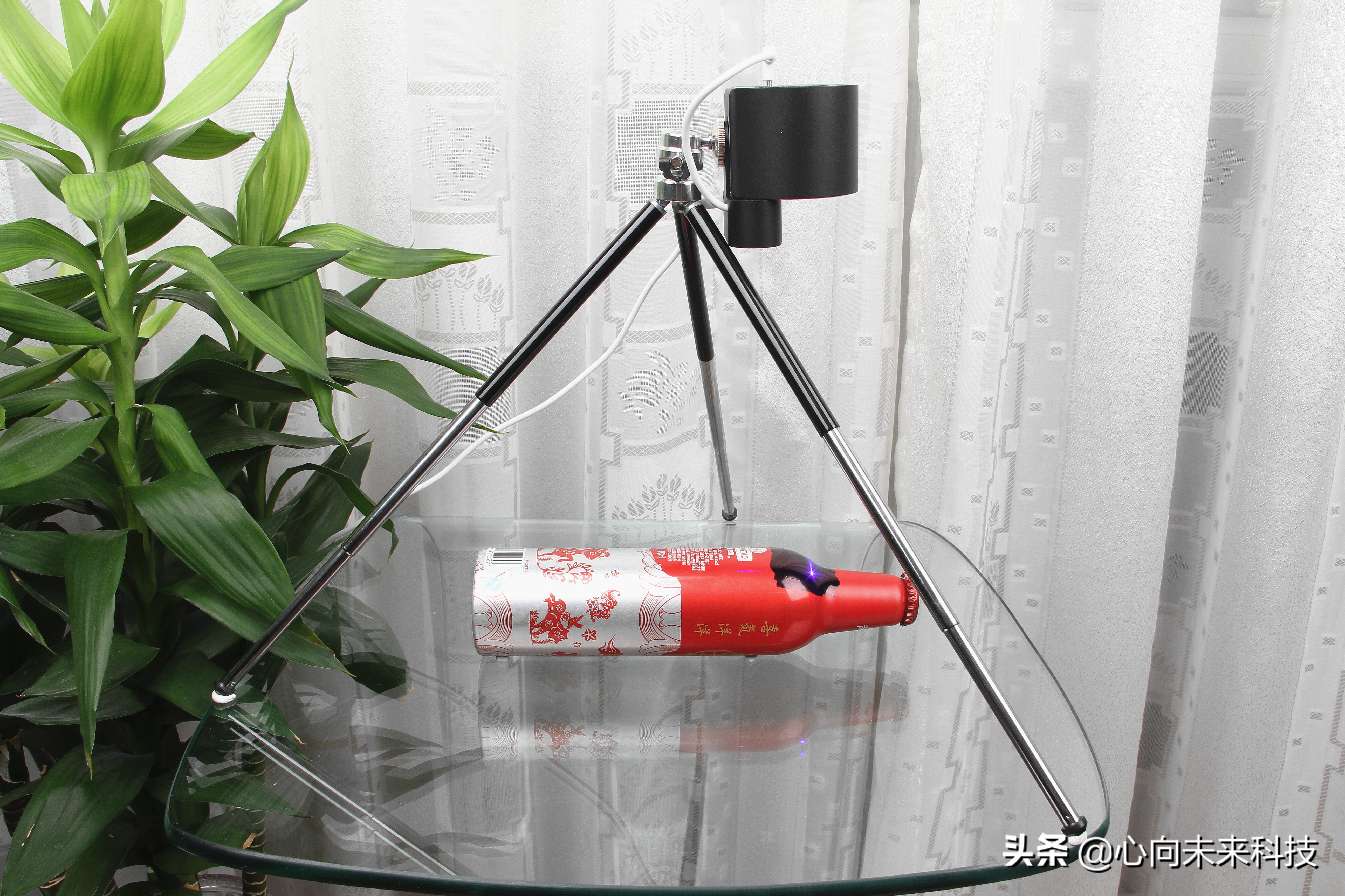 啄木鸟镭雕,啄木鸟激光雕刻机雕树叶