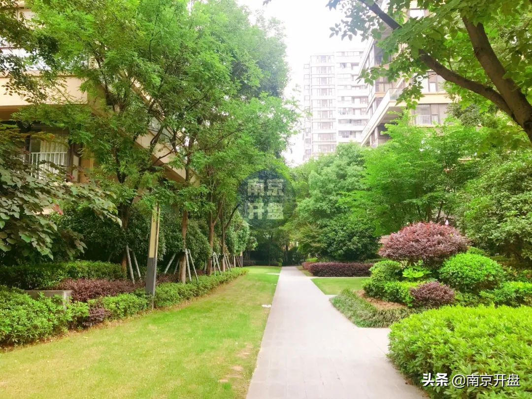 一套房产以516万拍卖成交,一套房子6000万