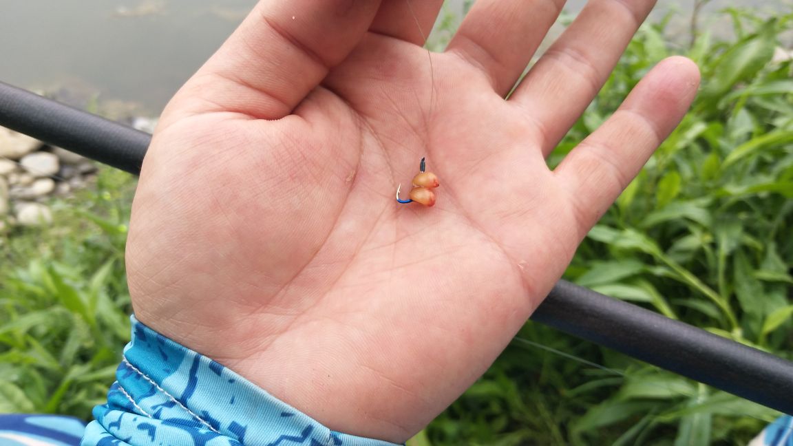 响水水库钓鲤鱼,响水钓鲤鱼位置