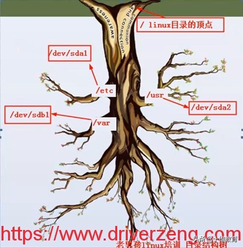 Linux系统入门：文件管理