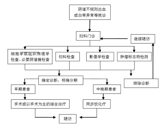 宫颈癌是hpv感染导致的吗,宫颈癌就是hpv吗