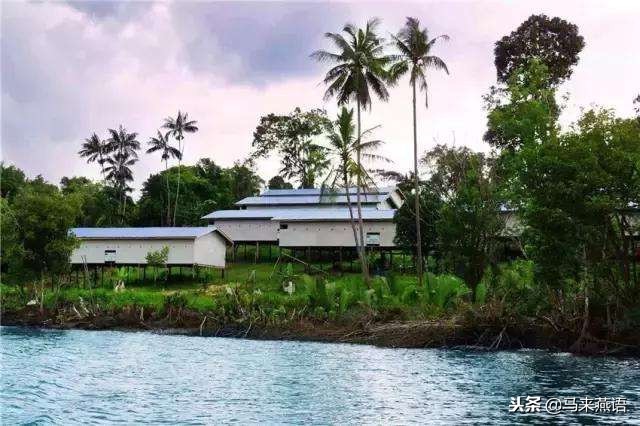 怎么分辨燕窝真假溯源码,印尼燕窝怎么分辨真假