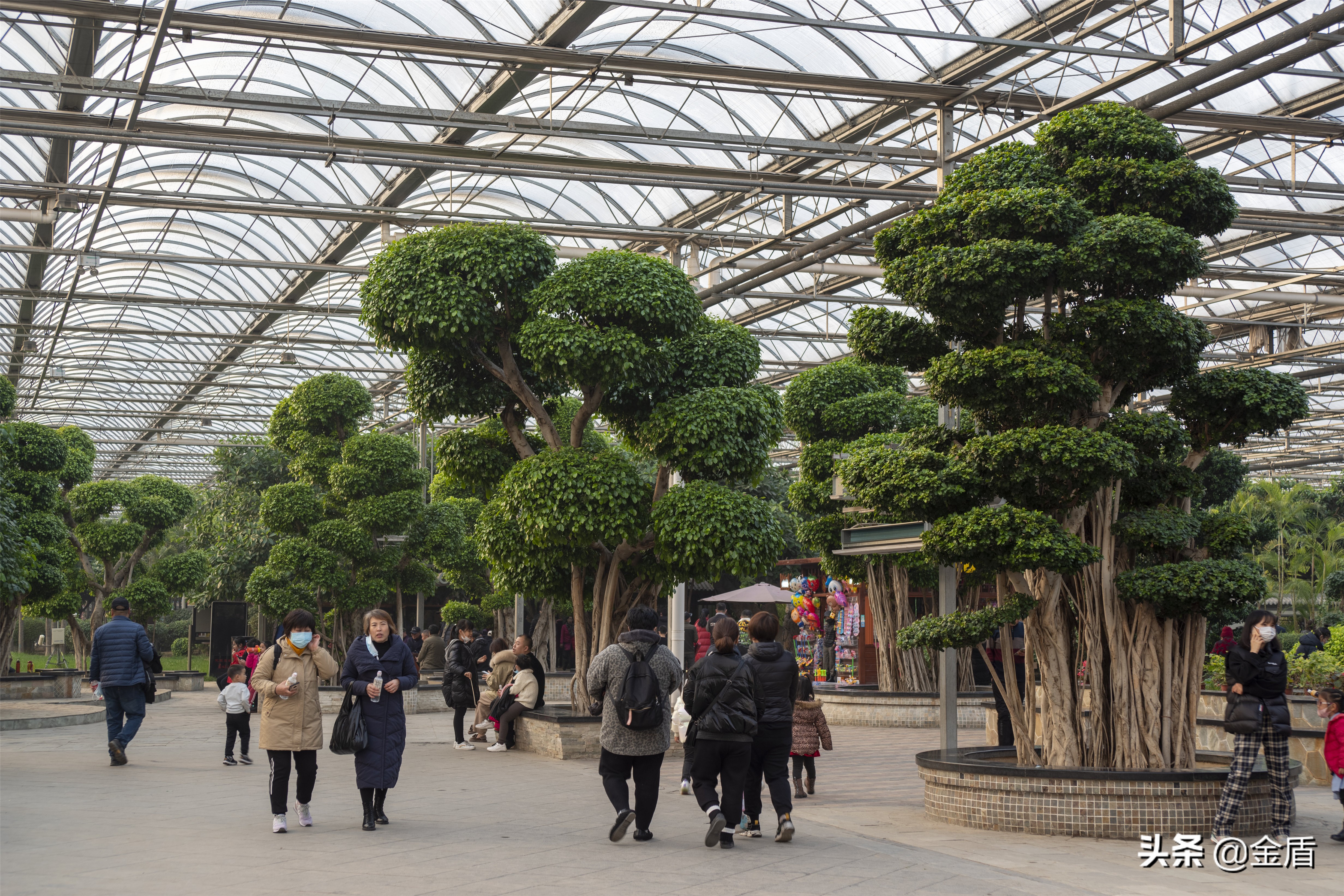 九天休闲谷游览攻略,九天休闲谷欢迎您游玩