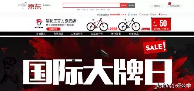 国际十大运动自行车品牌,世界十大户外运动品牌排行