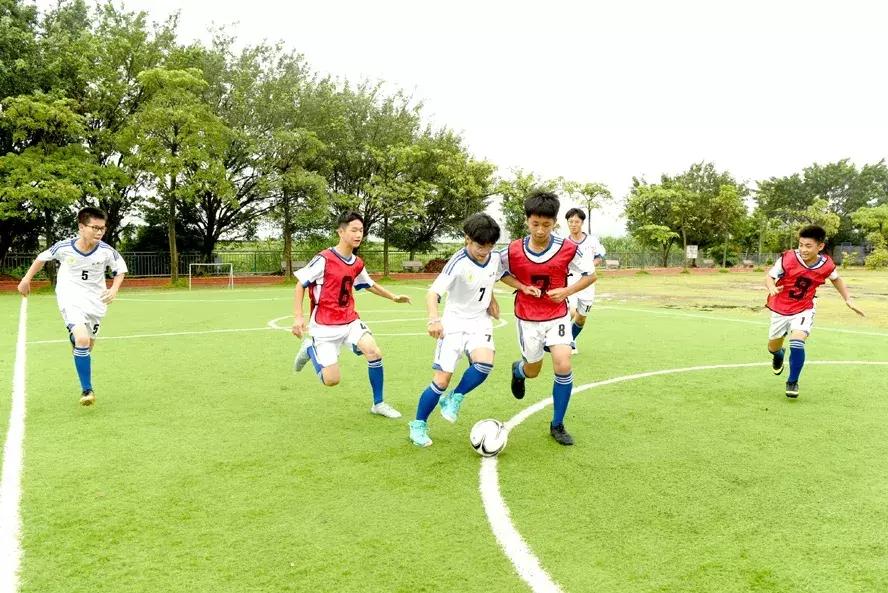 揭阳校园足球,揭阳市足球青训