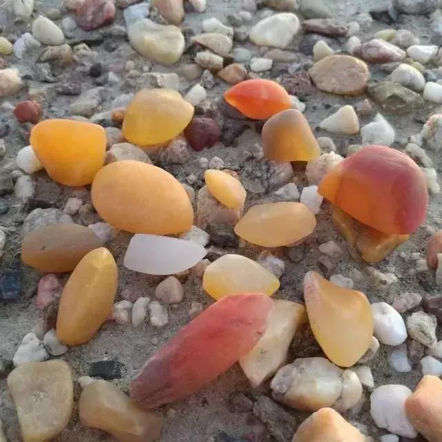 快来围观石英家族,颜值爆表