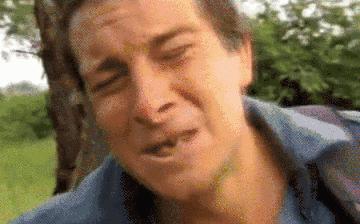 菩提手串生虫,菩提手串长虫是真的吗