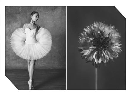 供应商破产后欠钱不还怎么办,供应商倒闭了欠款要还吗