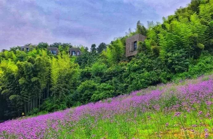 南京最好的山庄排名,南京最美的6个地方你都去过了吗