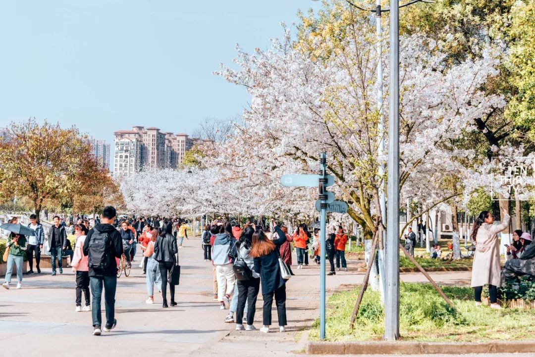 湖北经济学院为什么叫藏龙岛,湖北经济学院在江夏藏龙岛吗