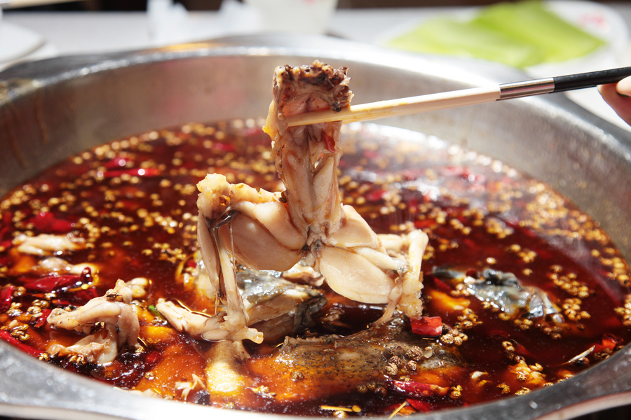 泡椒美蛙牛蛙,泡椒牛蛙美蛙鱼头