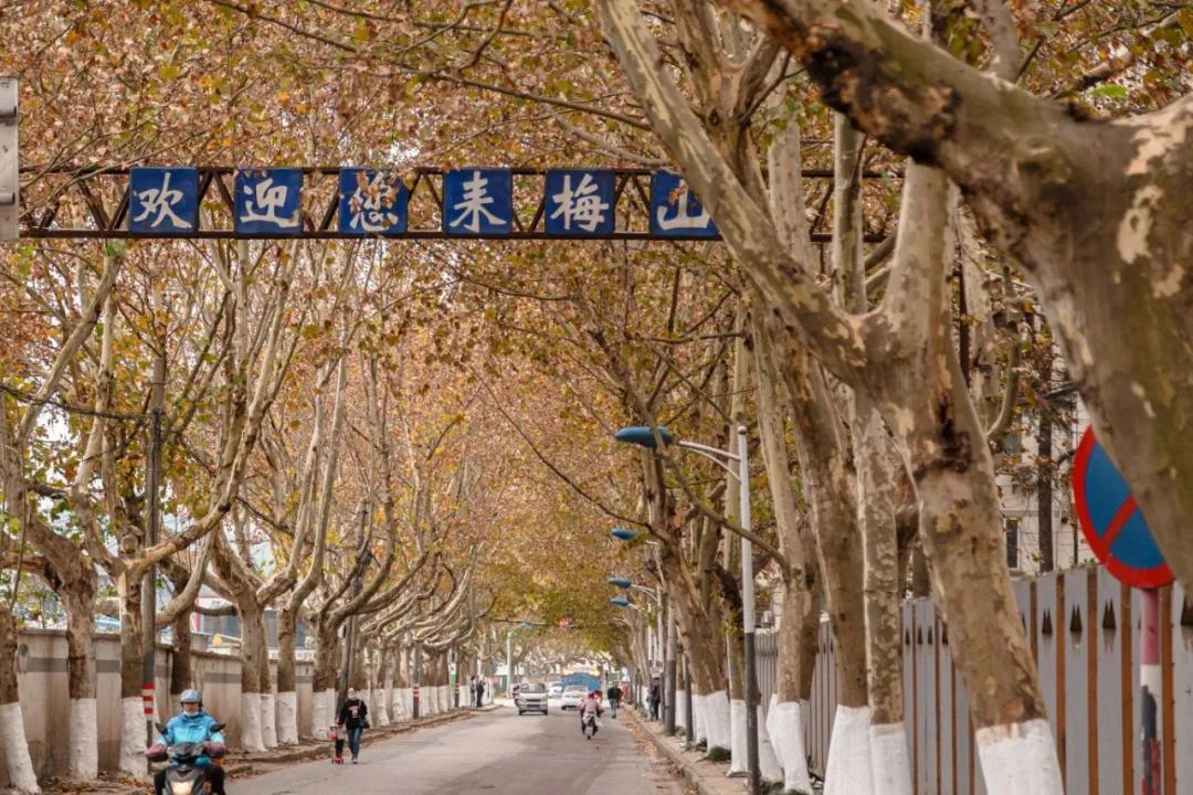 盐城梅钢搬迁最新规划图,盐城梅钢最新规划