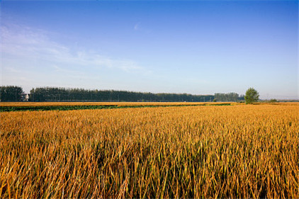 江苏人离土不离乡?苏商为什么以坐商著称?赵旭州评江苏风采