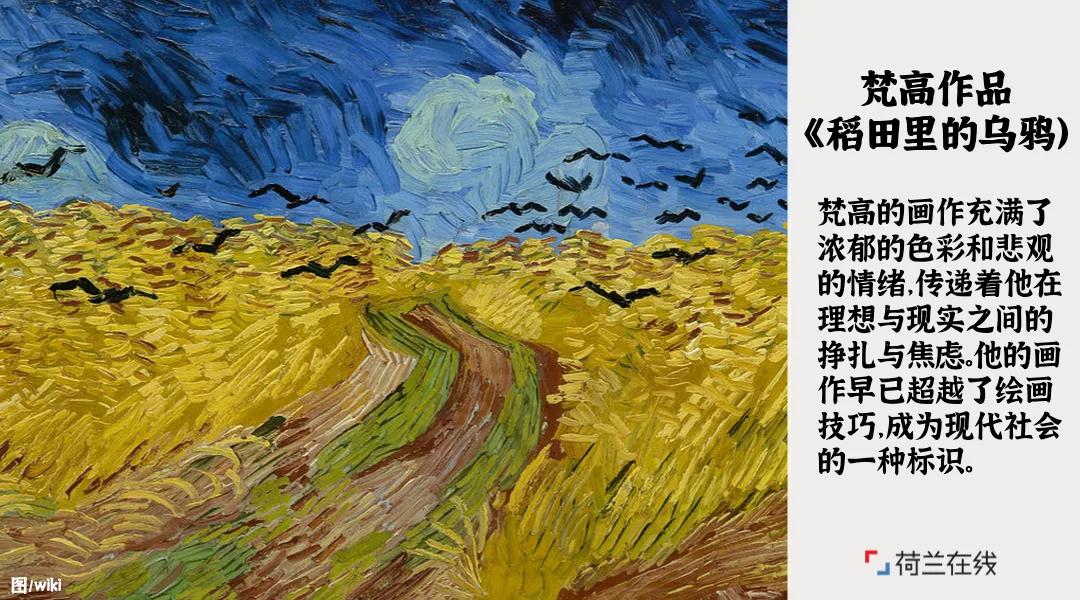 荷兰的郁金香风车牧场和运河,荷兰郁金香风车美景