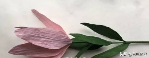 母亲节礼物九块钱的花,母亲节礼物该送什么花好