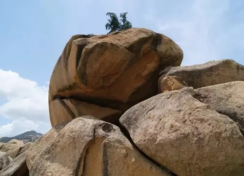 夜读放弃成长的人注定走不远,夜读励志成功始于信念