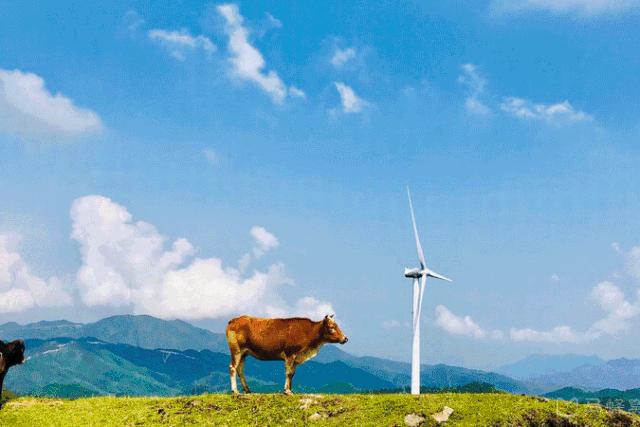 广州周边小众好玩的地方推荐,广州本地附近好玩的古风景点热门