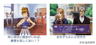 女性向游戏发展史,女性向游戏的合集