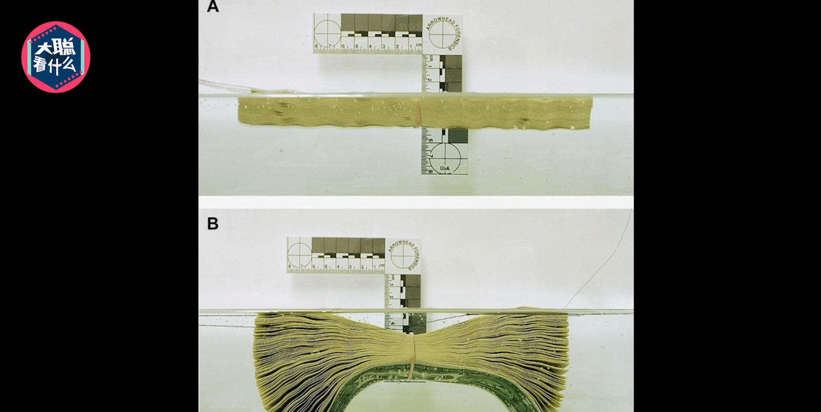 洛基库珀劫机案,库珀劫机事件洛基