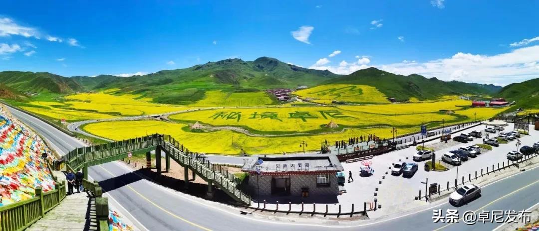 藏王故里秘境卓尼完整版,秘境卓尼青稞酒