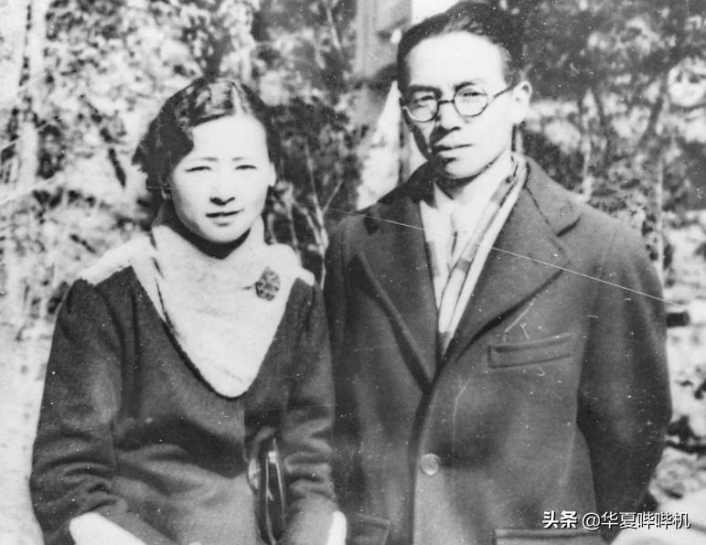 大飒蜜介绍,大飒蜜是哪个明星