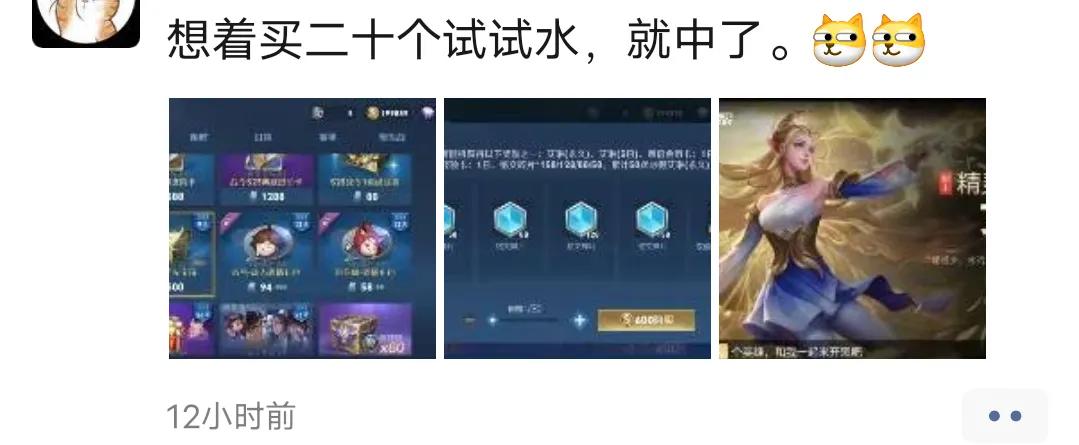 王者30000金币得艾琳亏不亏,如何花5000金币百分百获得艾琳