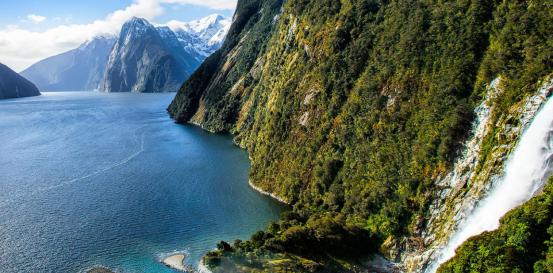 注册新西兰商标,注册新西兰商标多少钱