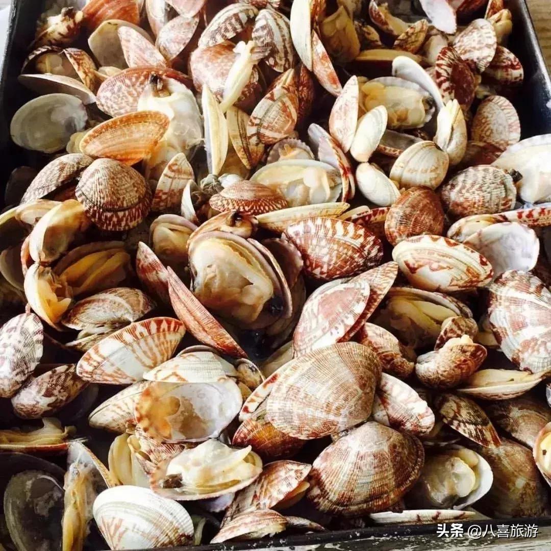 青岛最出名的吃的和玩的地方 (青岛好吃好玩的地方排行榜前十名)