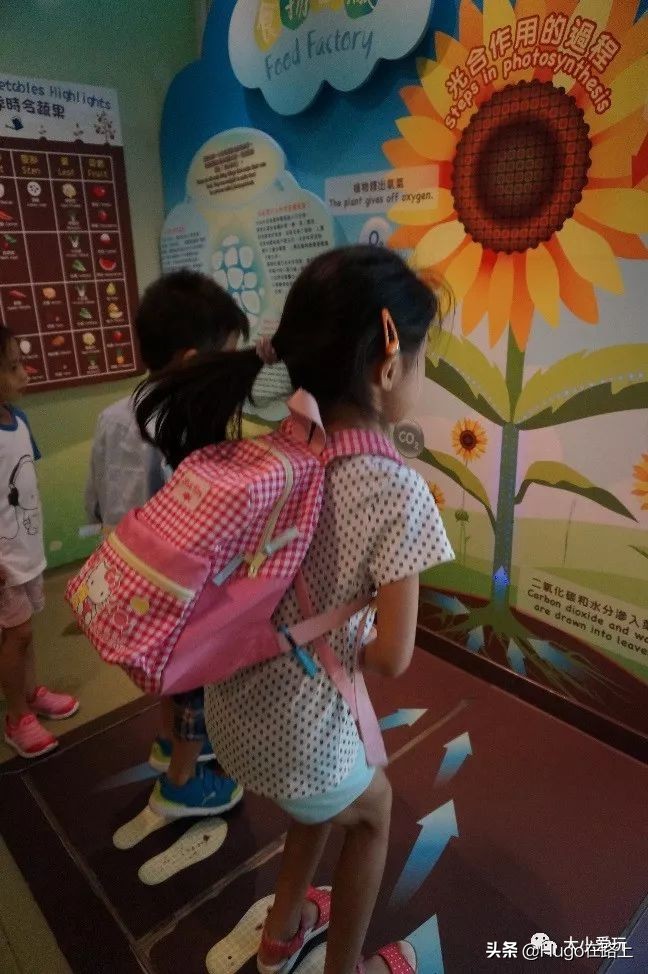 去香港亲子旅行攻略路线图片,香港亲子游最佳路线图