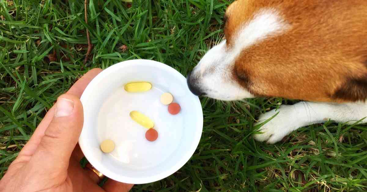 家中的药物不要乱吃,家里必备的6种药物有哪些