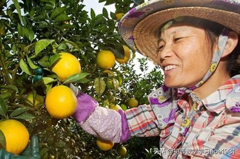 物不知数问题,物不知数问题解法