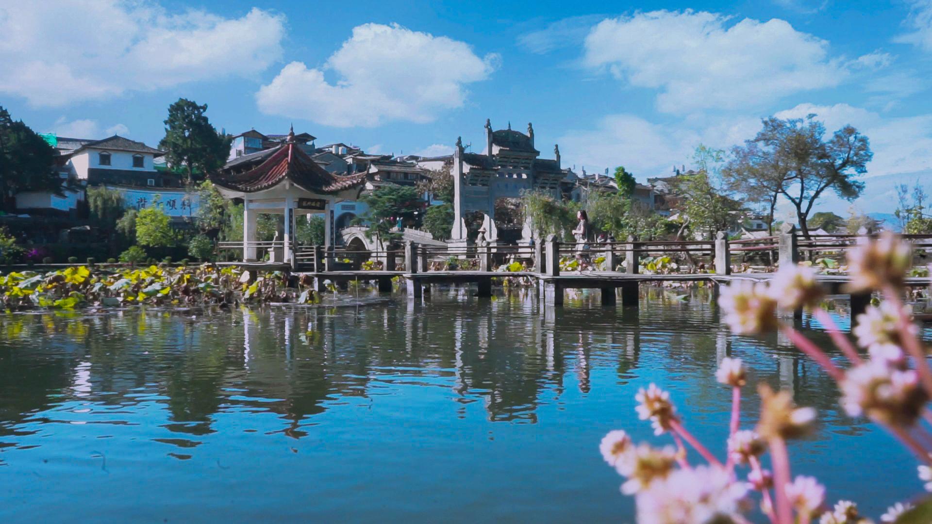 遇见腾冲，银杏叶飘洒，落在贝奇野菜瓶上，不添加的自然