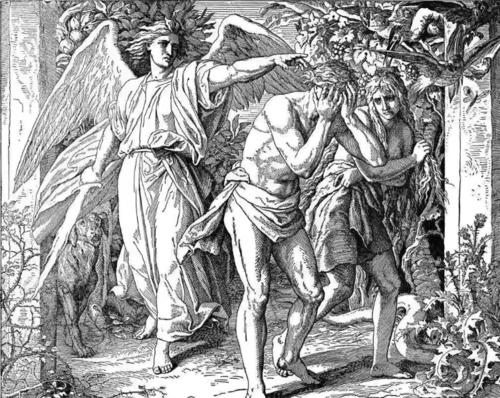 每个人都是女人生的吗,人都是女人生的吗