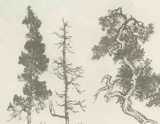 怎样画树画得好看,怎么画树最简单而且还最好看