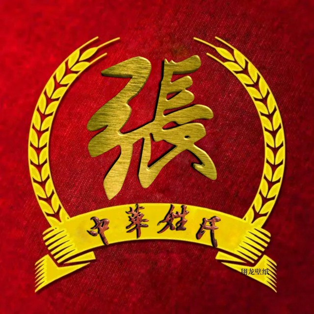 百家姓氏头像19期立体字体,2023张字姓氏专属头像制作