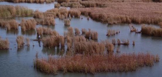 内蒙古阿拉善沙漠试驾全新奇骏,林燃后续完整版
