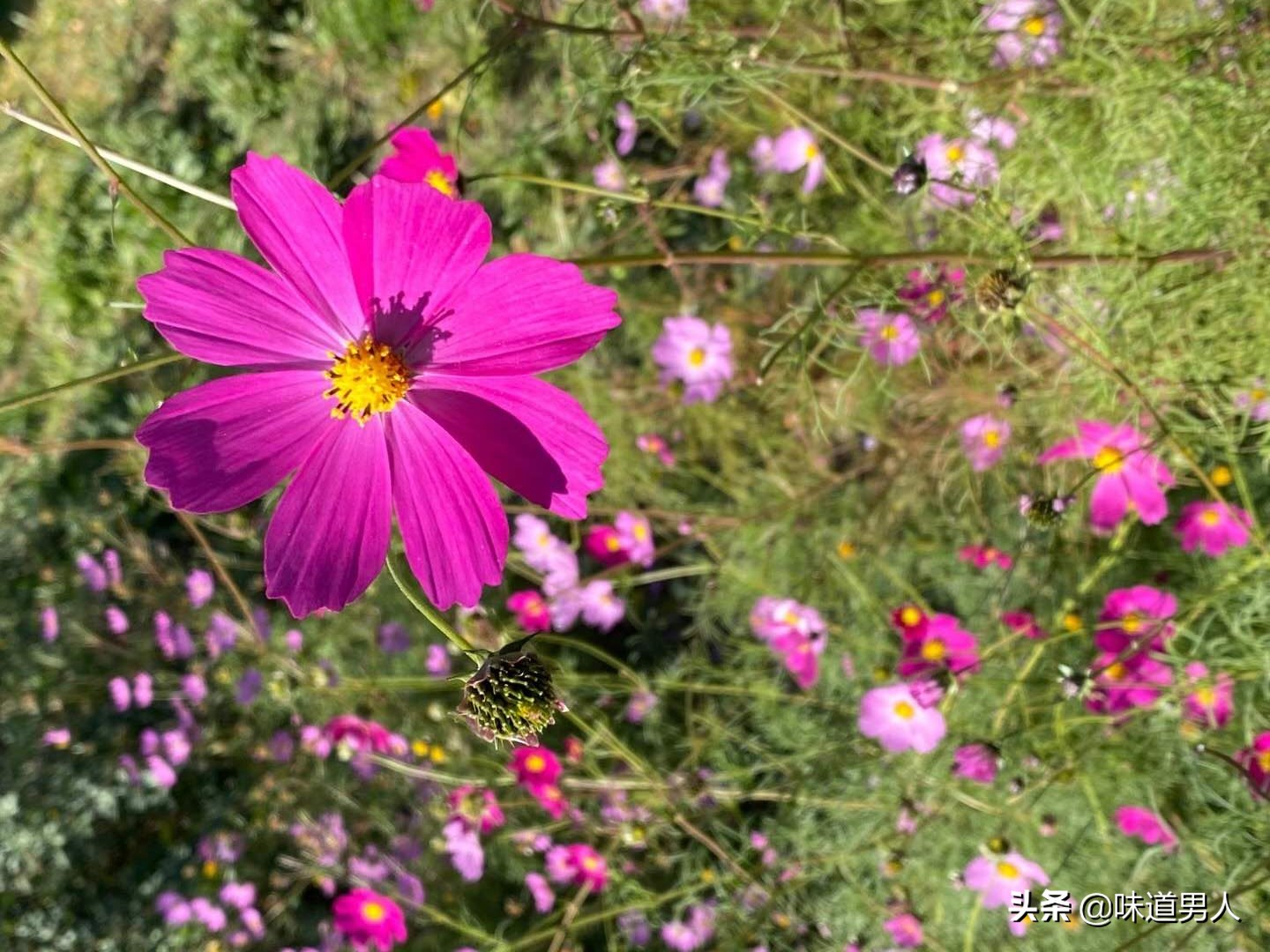 孩子去大学了想家怎么安慰,孩子上了高中住校想家怎么办