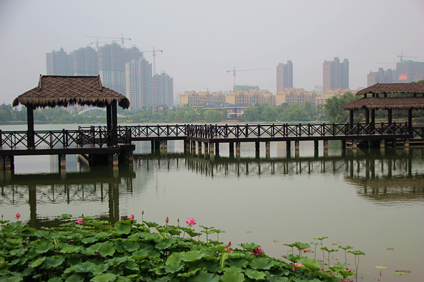 徐州醉美楼兰,徐州醉美火锅鸡