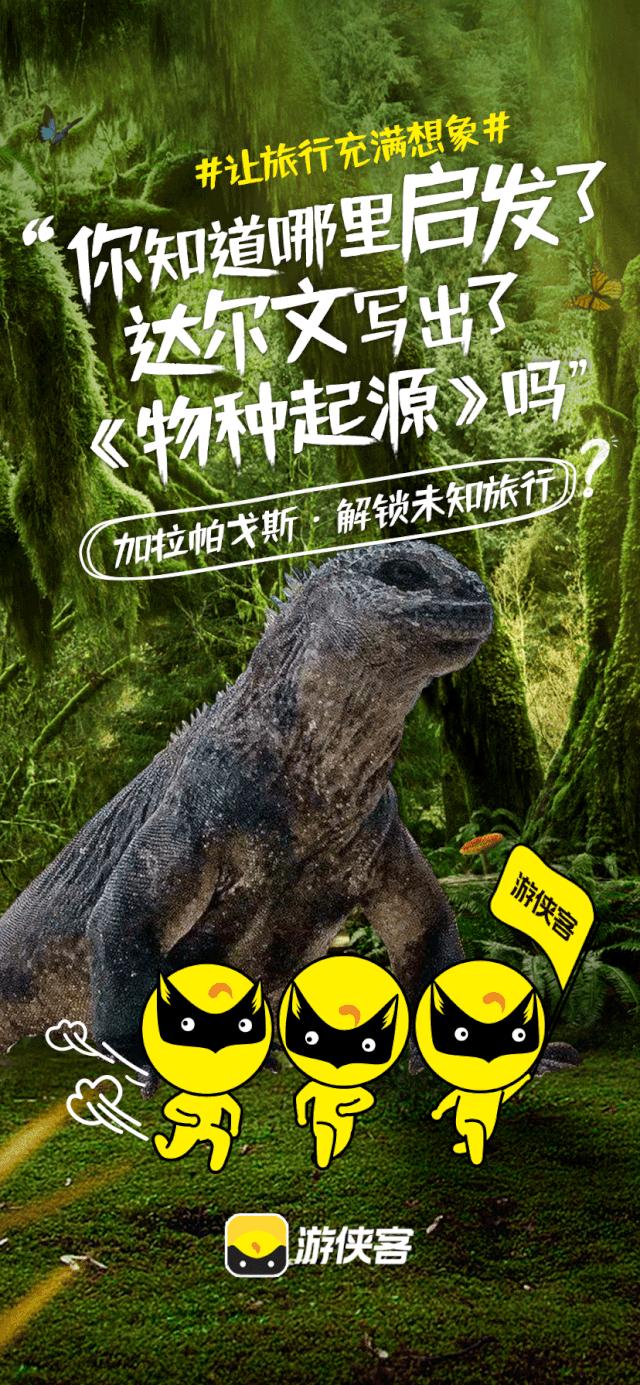 全新升级全新出发,新侠客行出发侠客岛