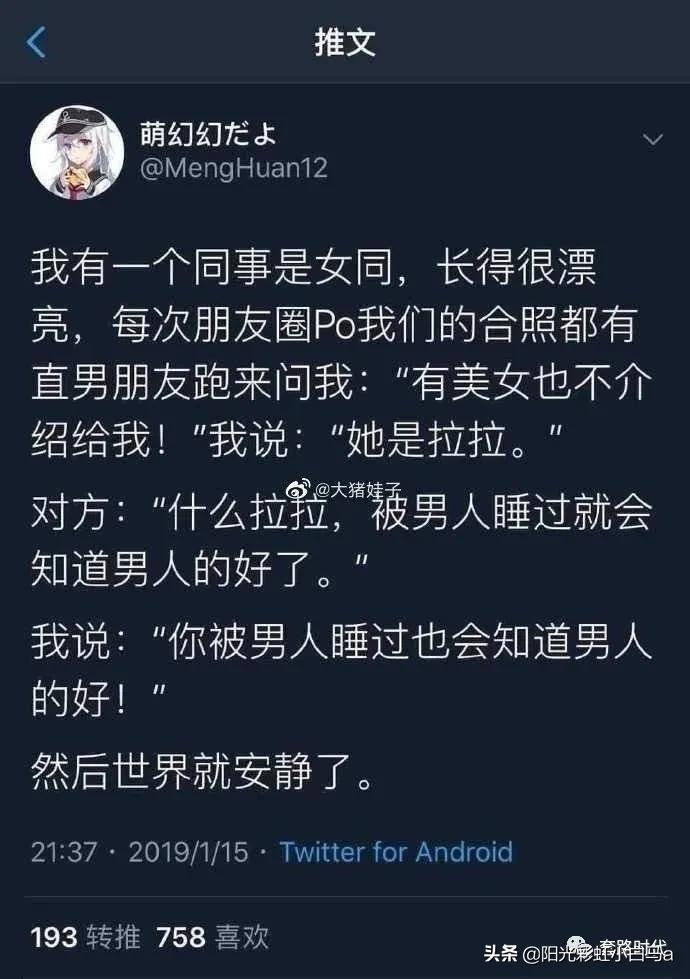 楼下的猫又开始叫了,楼下的猫一直在嗷嗷叫