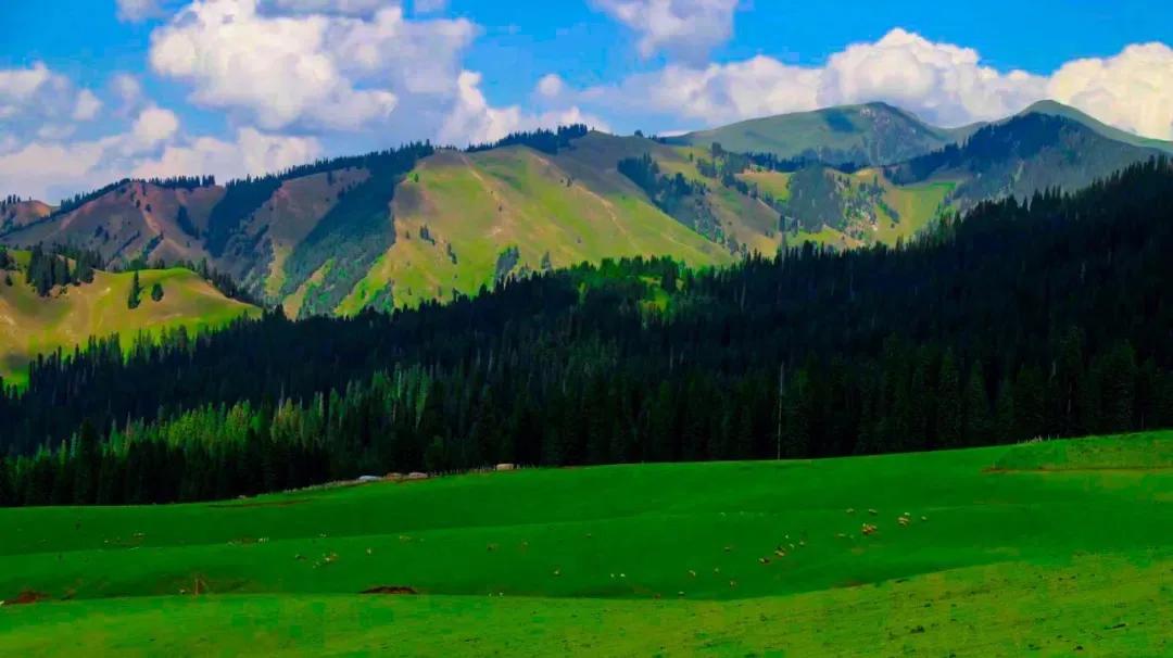 可以靠颜值偏要靠技术,能靠颜值偏靠实力