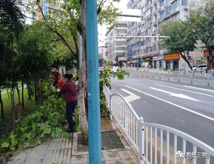 三明十四五规划重大项目出炉,三明生态新城五个重点项目建设