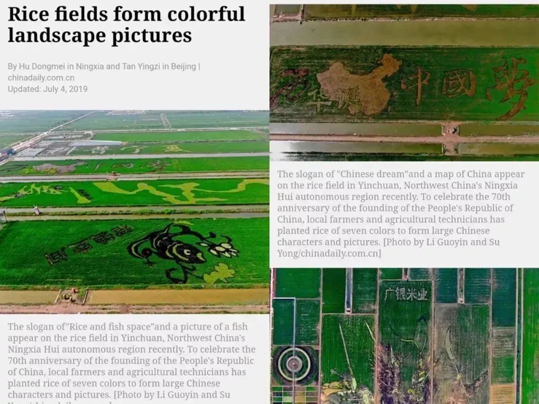 中国用了占世界多少的耕地,我国用占世界百分之几的耕地