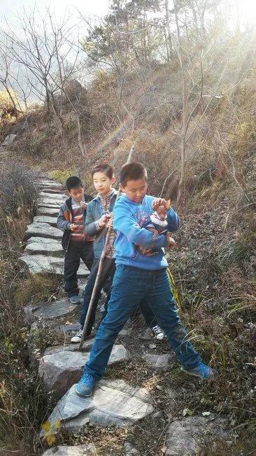 伸舌头的小鹿犬,爱洗澡的小鹿犬