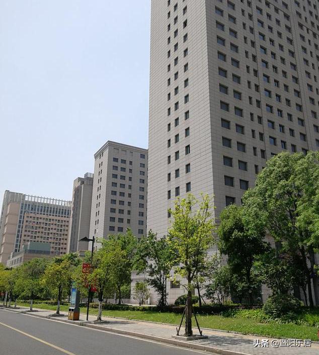 看不懂的临港，摊不完的“大饼”