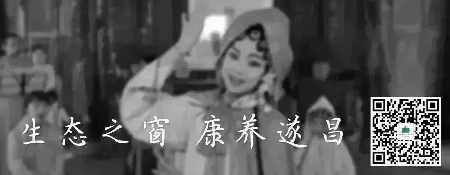 小众4-5日游,4天小众旅游